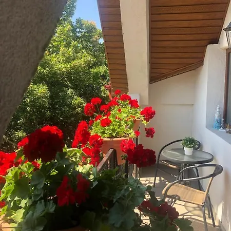 Black Sea * Constanţa