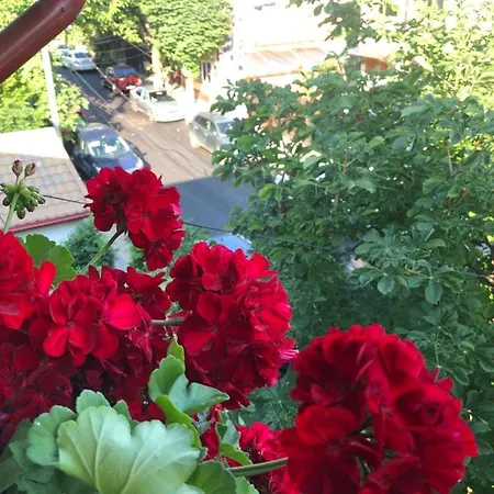 Black Sea Constanţa