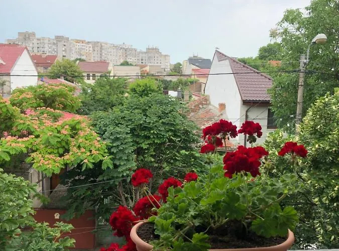 アパート Black Sea